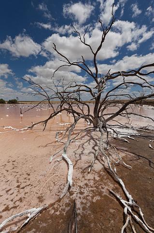 090 Quairading, pink lake.jpg